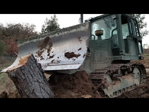 CASE Military Bulldozer Pushing Stumps