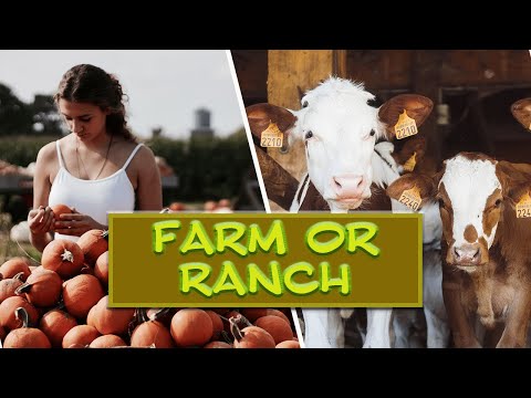 What is the difference between a Ranch and a Farm?