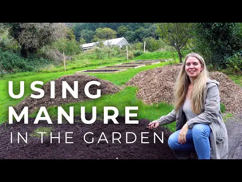 Using Manure in the Garden (and why it&#039;s the best compost)