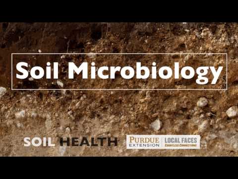 Soil Basics: Soil Microbiology