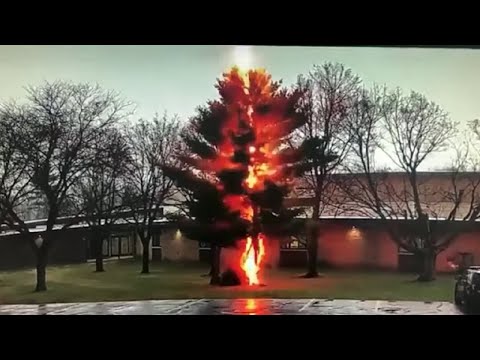 Lightning strike disintegrates tree outside Wisconsin high school