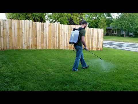 How To Kill Weeds - Spray Lawn Weeds With Tenacity