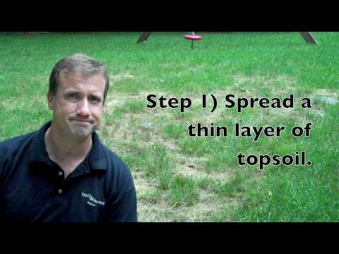 Lawn Care: Topsoil Topdressing