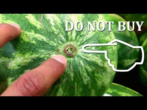 How to Pick a Sweet Watermelon