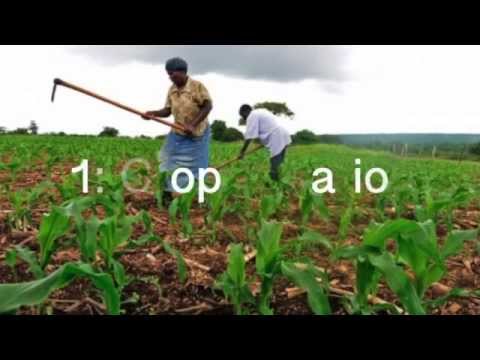 Practical Subsistence Farming