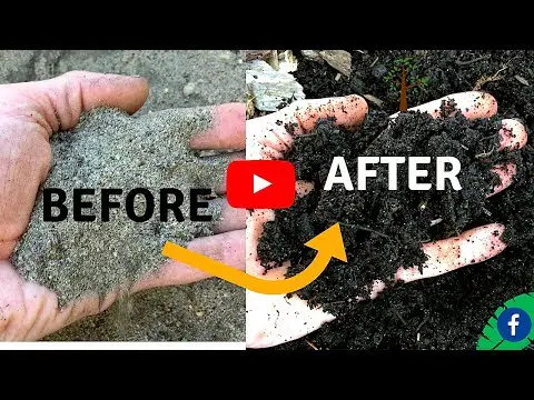 5 TIPS FOR BUILDING PERFECT HEALTHY SOIL FOR FREE