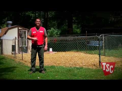 How to Prevent and Treat Coccidiosis in Chickens | Chicken Care | Tractor Supply Co.