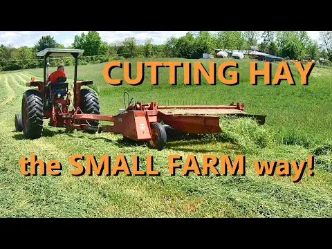the basics of cutting hay