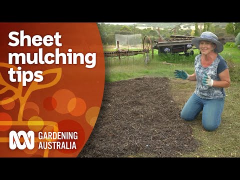 How to get started using sheet mulching to kill weeds | Gardening 101 | Gardening Australia