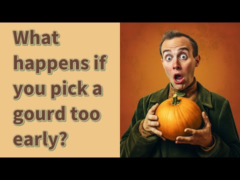 What happens if you pick a gourd too early?