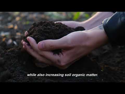 The impact of agricultural practices on soil health and solutions for sustainable farming