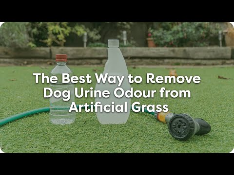 The Best Way to Remove Dog Urine Odour from Artificial Grass