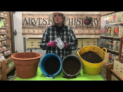 The Best Soil Mix for Containers