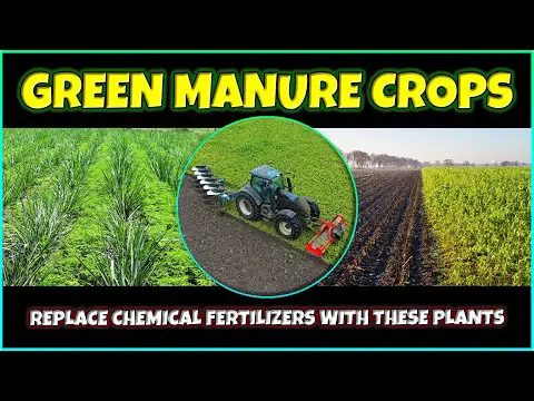 Best Green Manure Plants | Green Manure Crops | Organic Farming