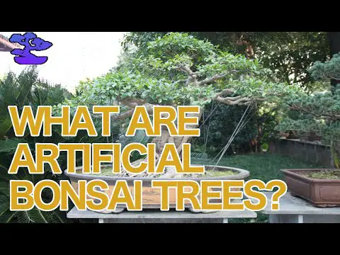 What Are Artificial Bonsai Trees?