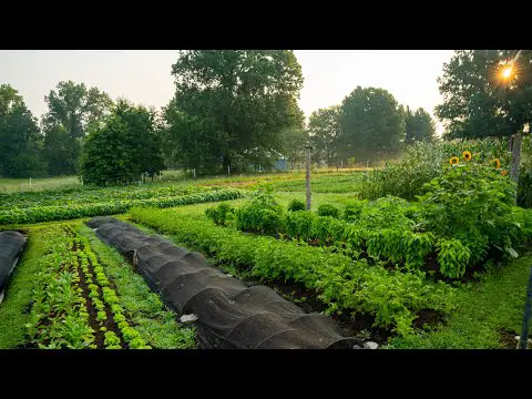 Regenerative Agriculture on a Small Scale | What it Looks Like