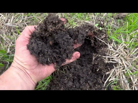 Regenerative Agriculture: How We Improve Soil Quickly without Costly Equipment