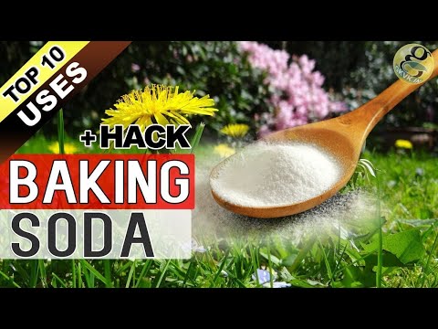 BAKING SODA IN GARDEN | TOP 10 Uses of Baking Soda Hacks in Gardening and Plants