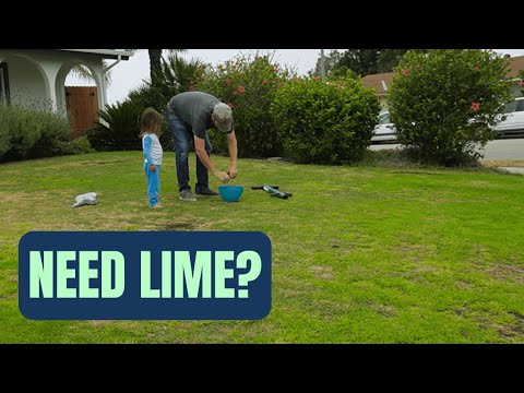 How To Know If Your Lawn Needs Lime