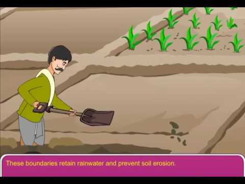 Methods to prevent Soil Erosion