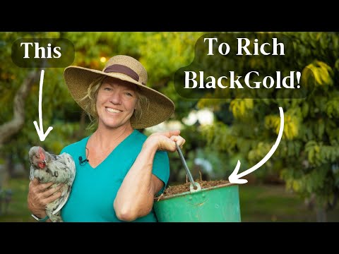 How to Make Chicken Manure Compost | Best Nitrogen Manure Source