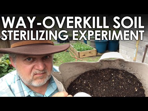 The Way-Overkill Soil Sterilizing Experiment || Black Gumbo