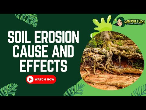Soil Erosion: Cause and Effects