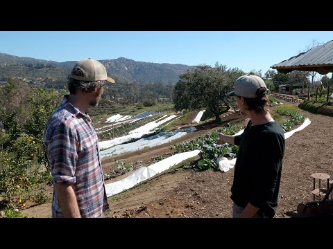 Building Terraces to Farm on a Hillside | Sage Hill Ranch Gardens