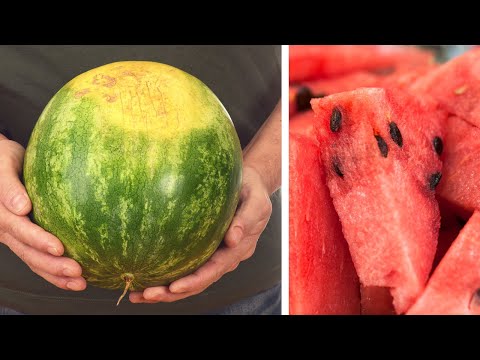 How To Pick a Sweet Watermelon Every Time