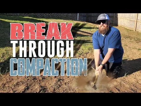 3 Simple Tips to Fix Compacted Soil