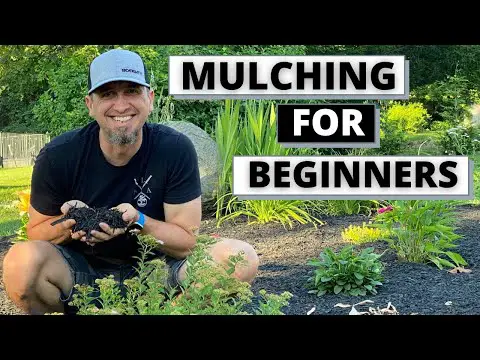 Mulching Flower Beds - How and Why