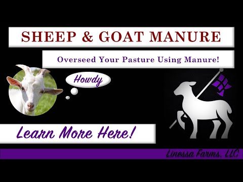 A Complete Guide to Sheep and Goat Manure Management! Composting and Spreading Manure