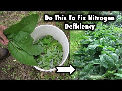 7 Ways To Fix Nitrogen Deficiency In Your Garden