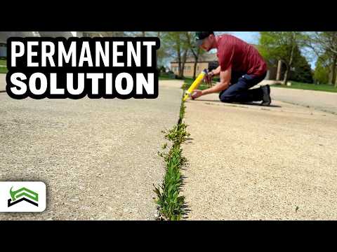 Weed-Free Driveways and Sidewalks: The Ultimate Solution!