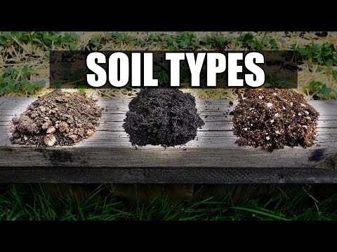 Topsoil vs Garden Soil vs Potting Soil - Garden Quickie Episode 61
