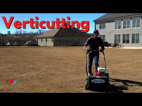 Verticutting Your Lawn - Not for the Weak