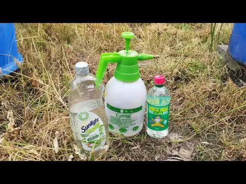 How to kill weeds permanently? / Easy way to kill weeds in garden