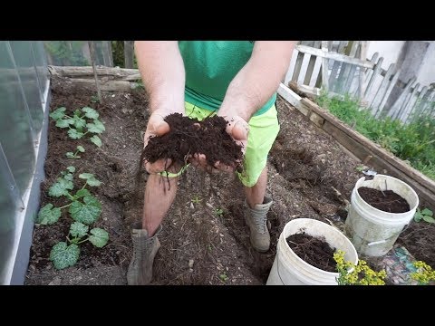 Using Well- Rotted Horse Manure in the Garden