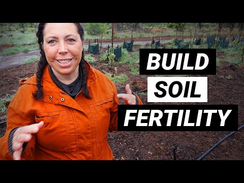 Soil Fertility - Regenerative Agriculture Practices for Building Soil Fertility