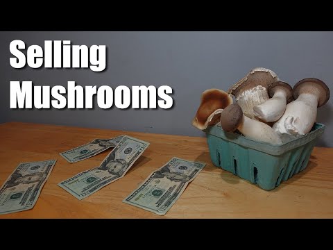 How to Sell Mushrooms for Profit (Tested)