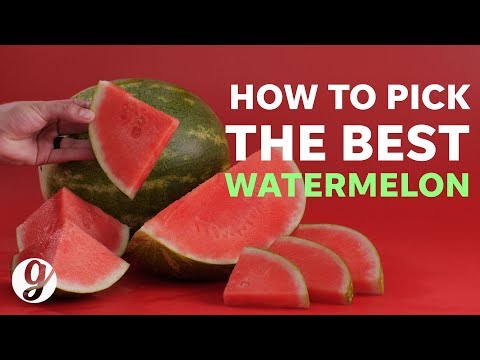 How To Pick the Best Watermelon Every Time | GRATEFUL