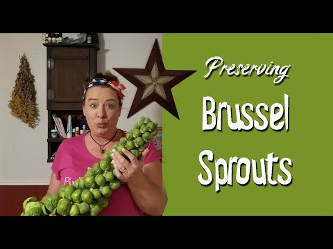 Freezing Brussel Sprouts ~ Preserving Food For Winter
