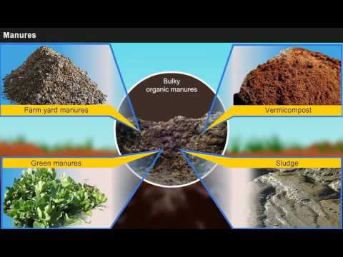 Introduction to Manures, Fertilisers and Soil Fertility Management [Year-3]