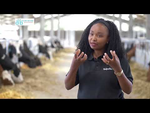 Great tips on commercial dairy farming by Njeri - Naiposha farm