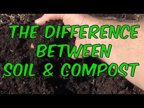 Soil vs Compost What&#039;s the Difference
