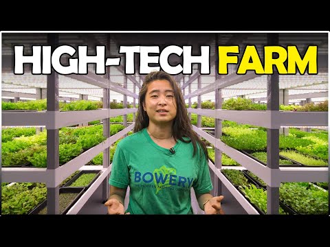 Modern High-tech Farm - Bowery Farming | Amazing Fully Automatic Vertical Farm