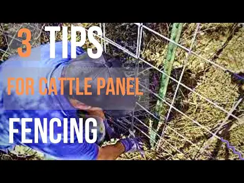 Learn from our mistakes! Tips for cattle panel fencing!