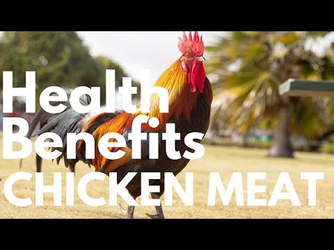 Health Benefits of Free Range (Organic) Chicken meat S5*E3