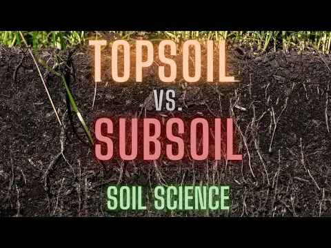 The Differences Between Topsoil &amp; Subsoil