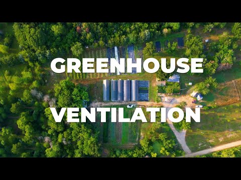 Greenhouse Cooling: Create The Perfect Environment With Greenhouse Ventilation
